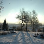 le jardin en hiver