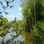 Etang des Cresses, à proximité de la réserve naturelle Marie Mouchon.